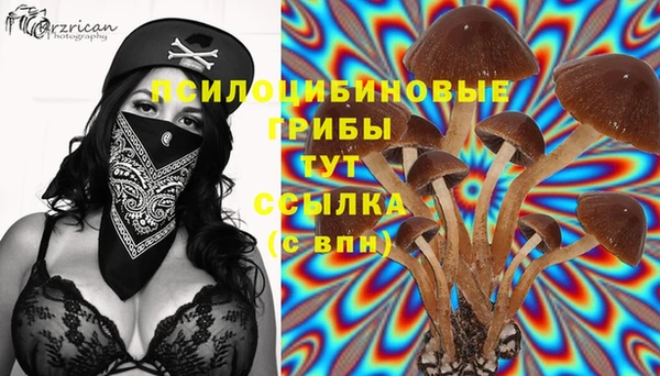 марихуана Беломорск